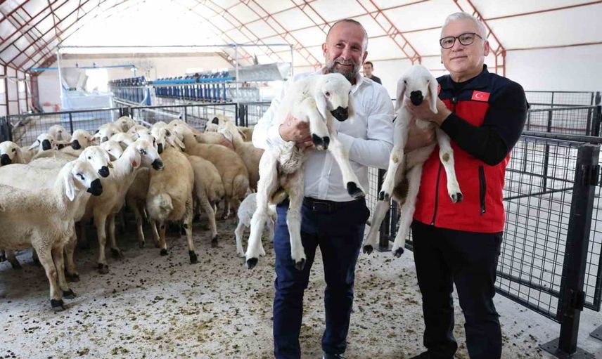 Sivas'taki kale çiftlik projesi turizmi ve tarımı canlandıracak