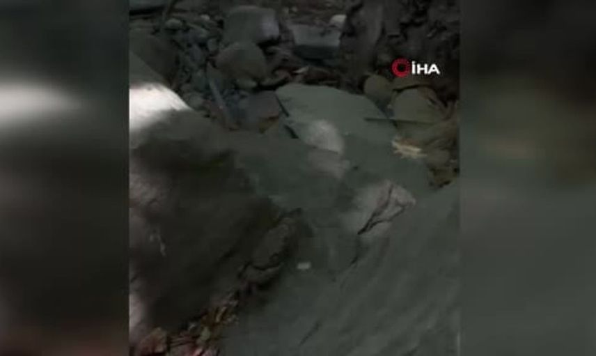 Yüksekova'da doğada nadir bir keşif: dev yengeç görüntülendi