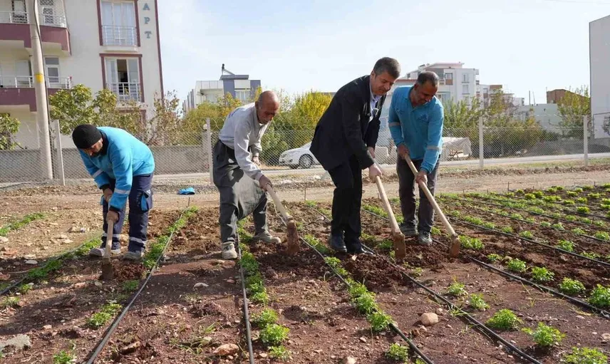 Adıyaman'da sosyal belediyecilik örneği: üretim artıyor, fiyatlar düşüyor