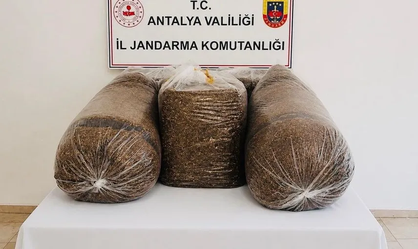 Antalya'da kaçak tütün operasyonunda 365 kilogram tütün ele geçirildi