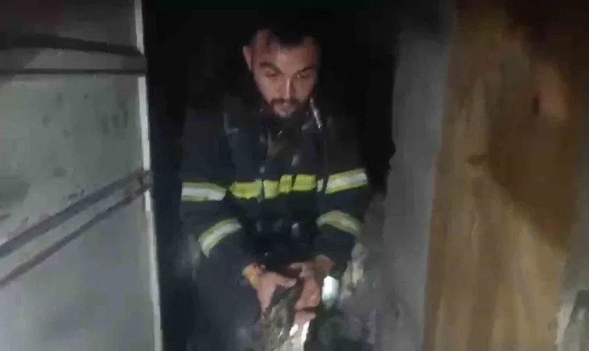 Şanlıurfa'da yanan bodrumda iki yavru kedi kurtarıldı
