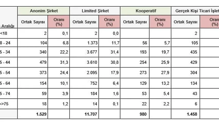 2026'nın ilk yarısında Türkiye'de şirket kurulumu artış gösterdi
