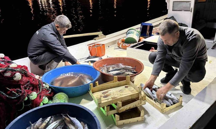 Kıyıköy'de palamut sezonu: Balıkçılar yüzleri güldüren bereketi değerlendirmeye devam ediyor