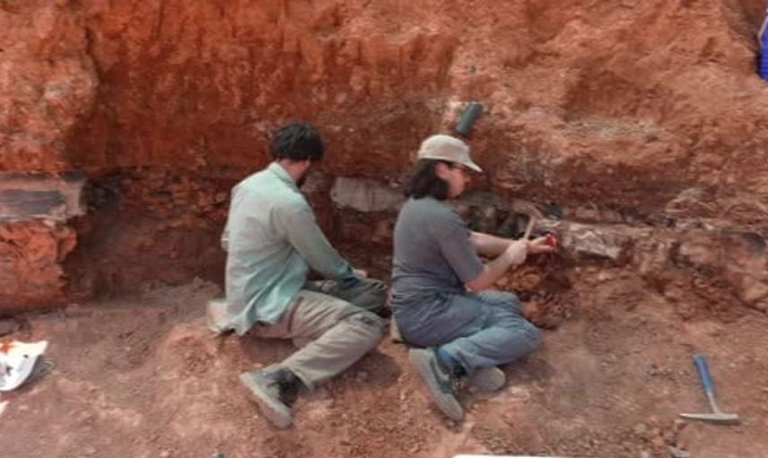 Tavas Kayaca fosil kazısında milyonlarca yıl öncesine ait kalıntılar gün yüzüne çıkıyor