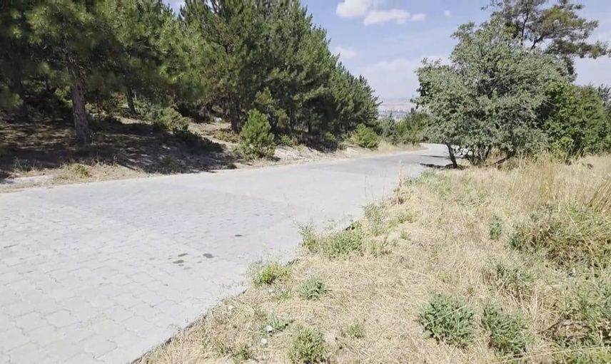 Şahintepesi'nde mahalle sakinleri güvenlik eksikliği ve çevre kirliliğinden şikayetçi