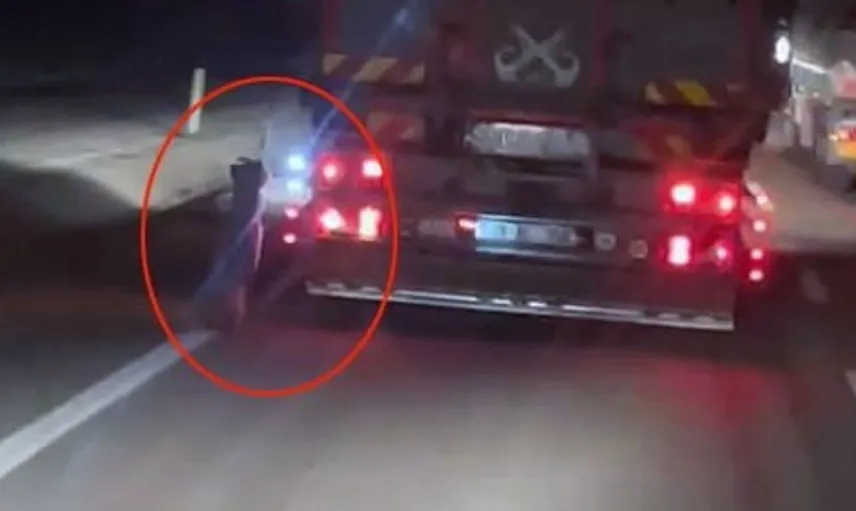 Denizli'de kamyonetin arkasına bağlı köpek, kilometrelerce sürüklendi