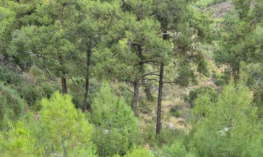 Milas'ta meydana gelen trafik kazasında bir kişi yaralandı