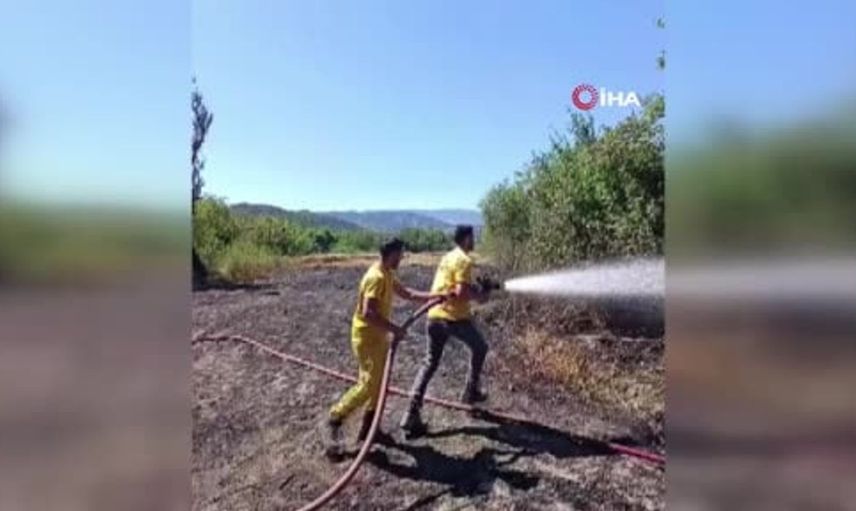 Bolu'da otluk alanda yangın, buğday tarlasına sıçradı