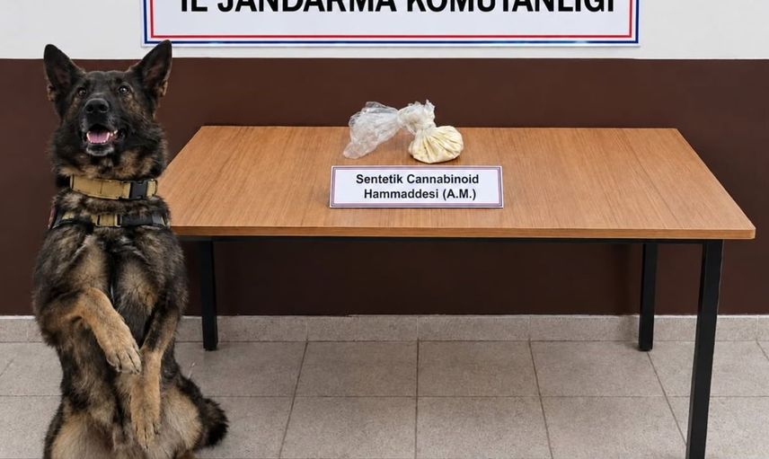 Erzincan'da iki uyuşturucu operasyonu: skunk ve bonzai ele geçirildi