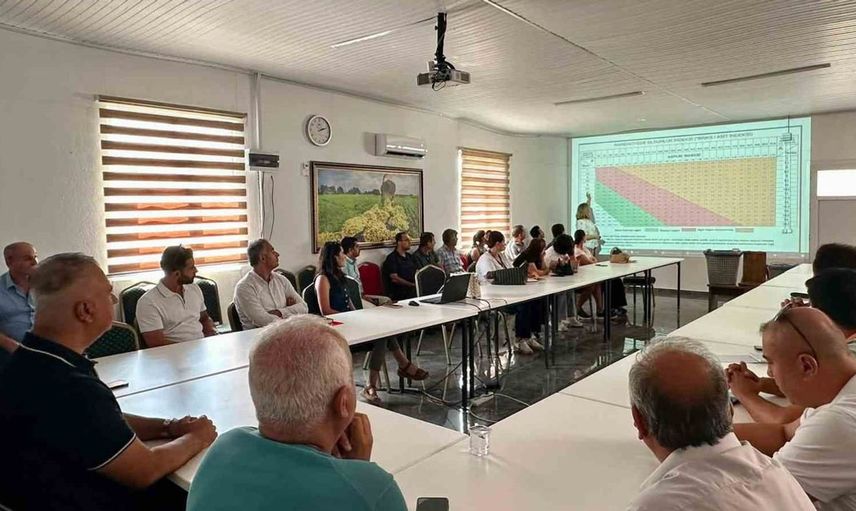 Hatay'da turunçgil hasatında doğru teknikler masaya yatırıldı