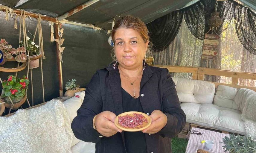 Atalık tohum tutkusu Mardin'deki domatesle başladı: 500 kişiye ulaştı