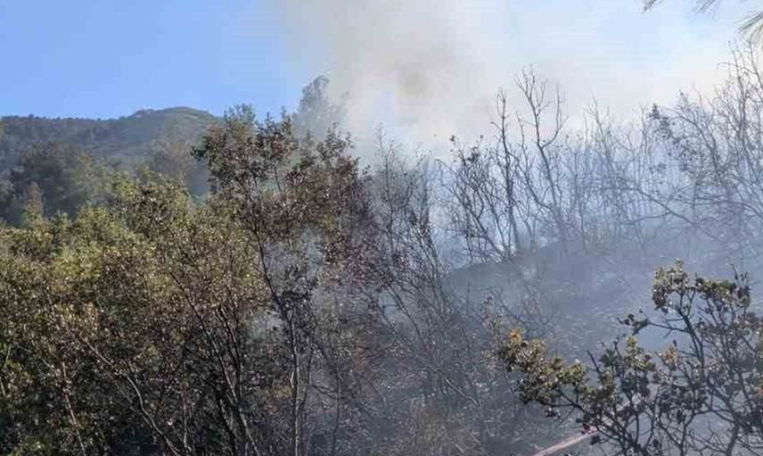 Denizli'de Başkarçı Dağı'ndaki orman yangını kontrol altına alındı