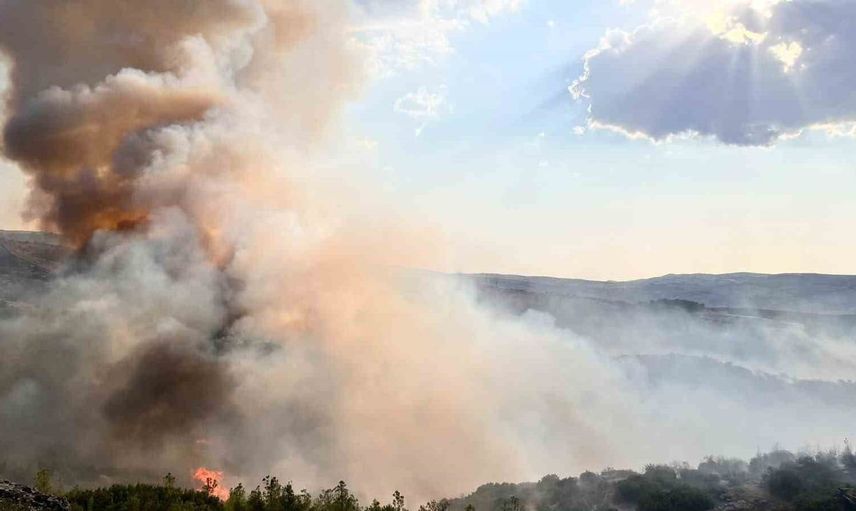 Kula'da tarım arazisinde başlayan yangın ormana yayıldı