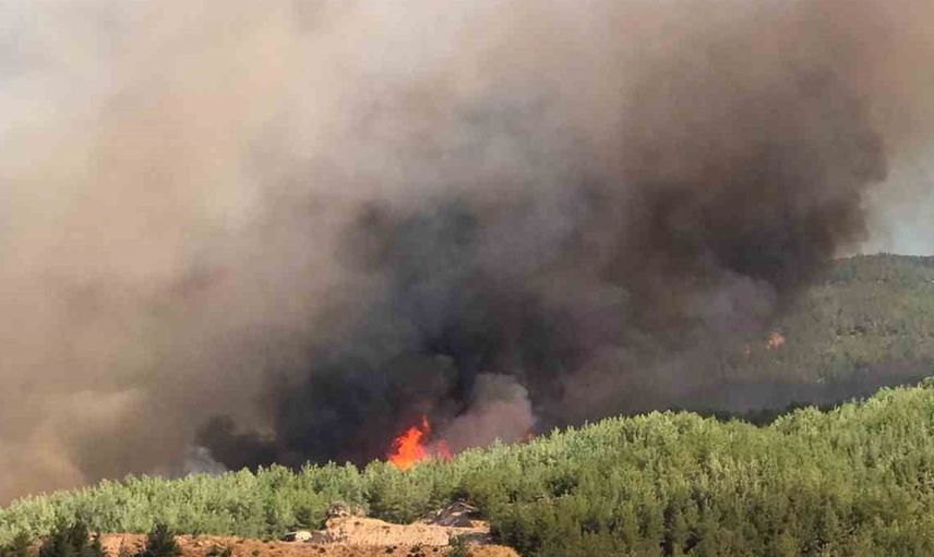Çine'de orman yangınına havadan müdahale devam ediyor
