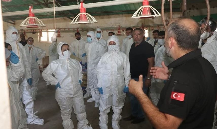 Elazığ'da kuş gribi eğitimi ile saha tatbikatı yapıldı