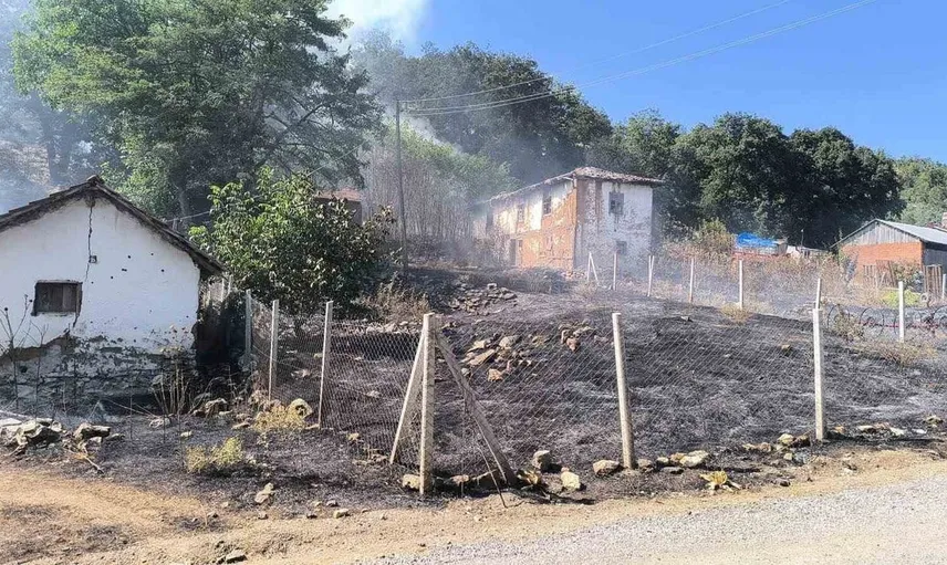 Bilecik'te orman yangınına neden olan şahıs gözaltına alındı