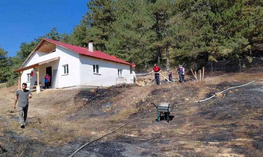 Bolu'da ev bahçesindeki yangın ormanlık alanı tehdit etti