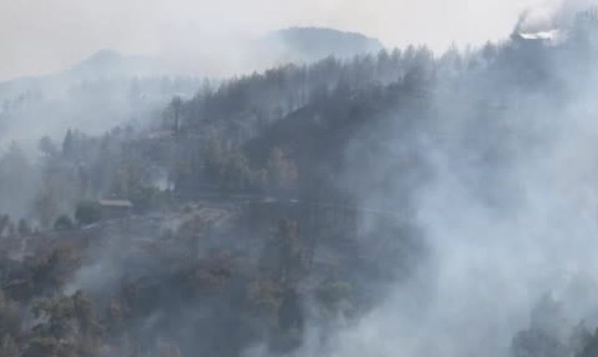 Kumluca'da ormanlık alanda yangın çıktı