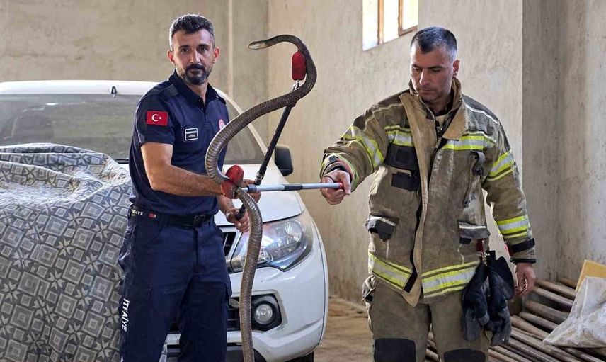 Yaz döneminde Adıyaman itfaiyesi 889 olaya müdahale etti