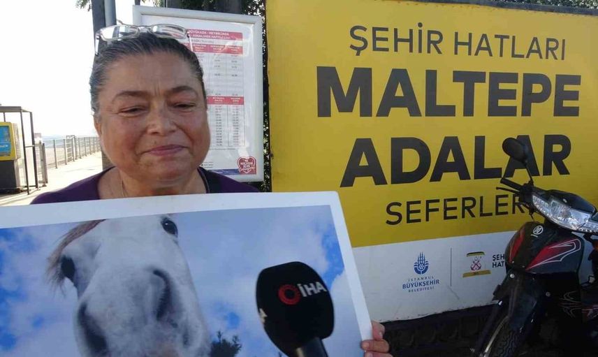 Büyükada’da hayvanseverlerden gizli sevk iddialarına itiraz: Atların akıbeti belirsiz