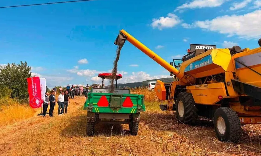 Bilecik'te ayçiçeği ekiminde büyük artış: 11 bin 700 dekar daha eklendi