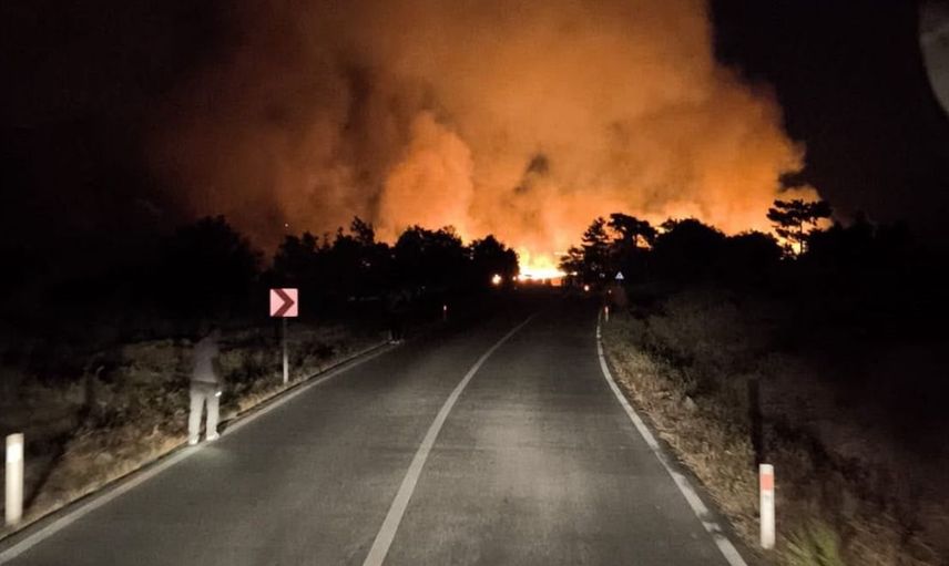 Tavşanlı'da çıkmış yangın orman ağaçlarına ulaşmadan söndürüldü
