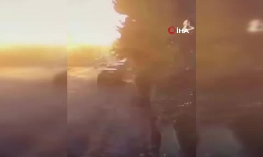 Silivri'de sokak köpeklerine araçla zarara veren kişi tutuklandı