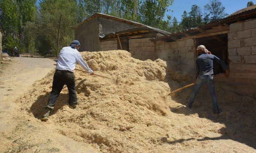 Tercan'da çiftçiler, hayvanları için kış hazırlığını sürdürüyor