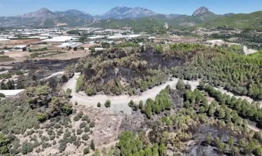Antalya'da yangın zararları tespit ediliyor: Ekipler sahada çalışmalara devam ediyor