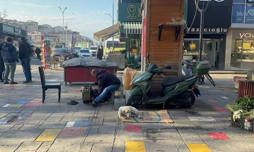 Sokak hayvanlarına duyarlılığı ile öne çıkan ayakkabı boyacısı ödüllendirildi