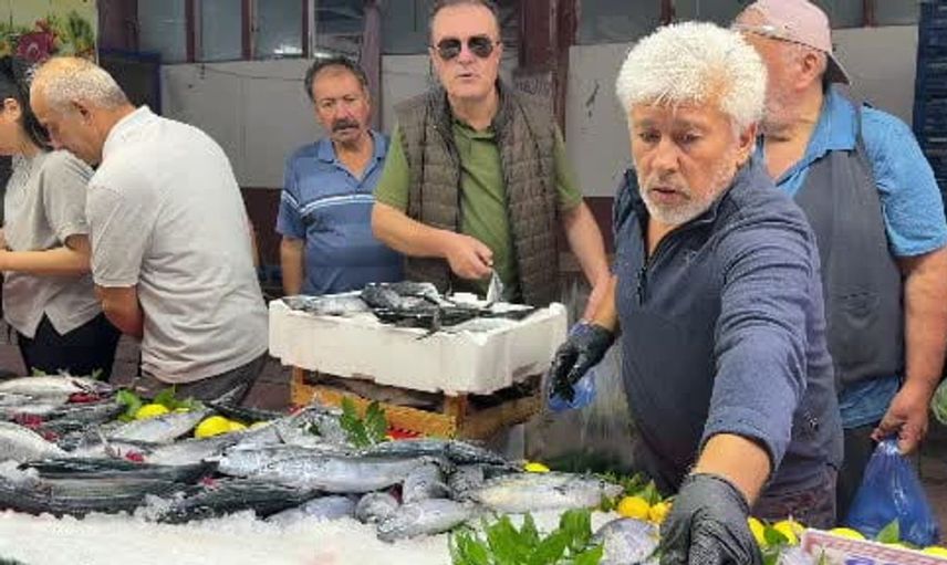 Bolu'da palamut bereketi balık fiyatlarını düşürdü