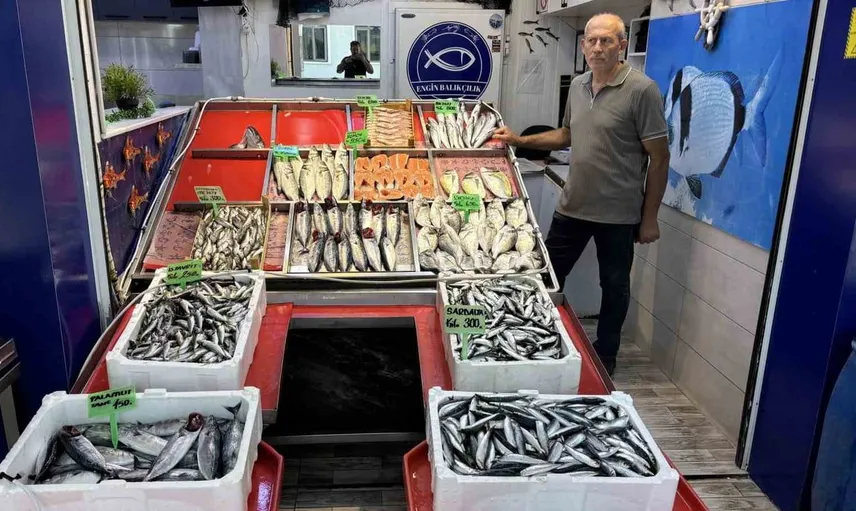 Çanakkale’de balık sezonu başladı: Palamut tezgahlarda 150 liradan satışta
