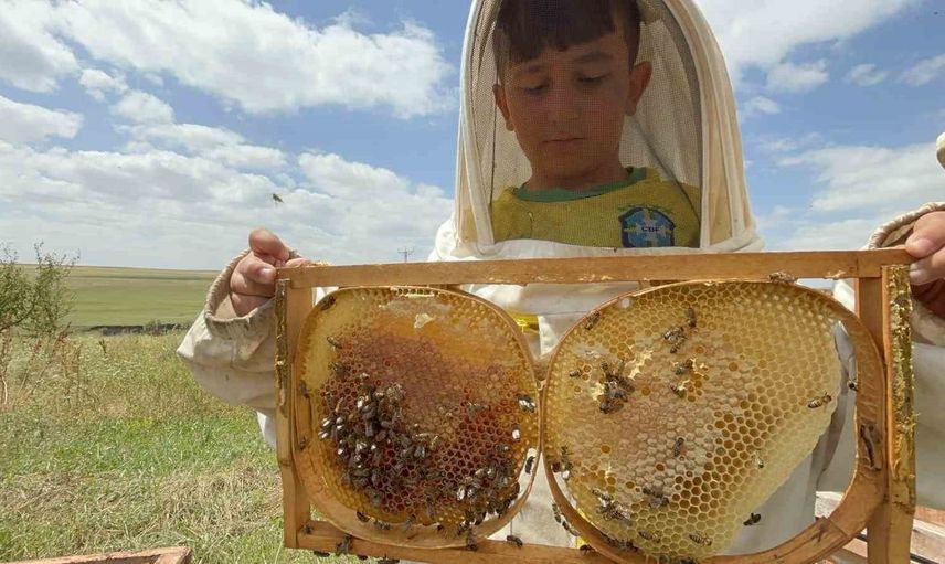 Kars’ta bal hasadı bereketli başladı: 2026 sezonu arıcılara umut verdi