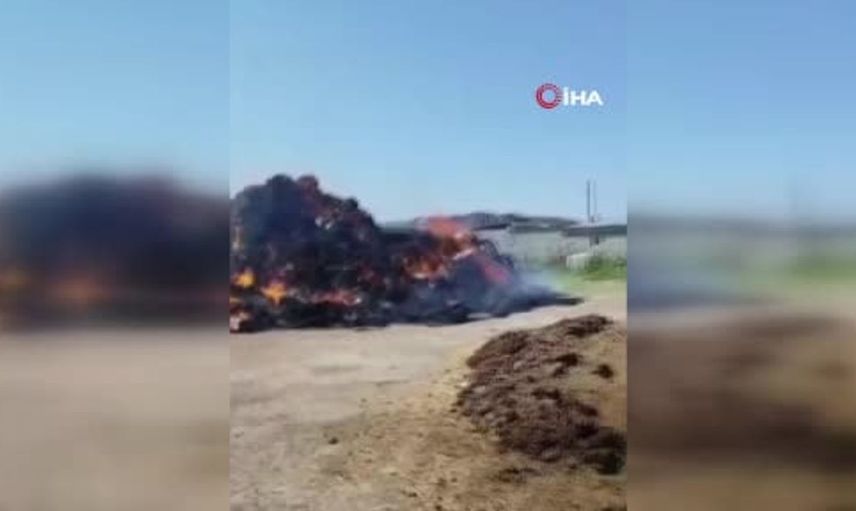 Iğdır'da ot balyaları yandı, can kaybı yaşanmadı