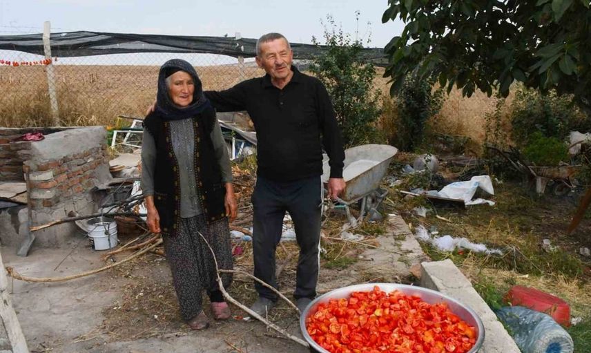 76 yaşındaki emekli öğretmenden bozkıra yeşil vaha: 15 yıllık emeğin meyvesi