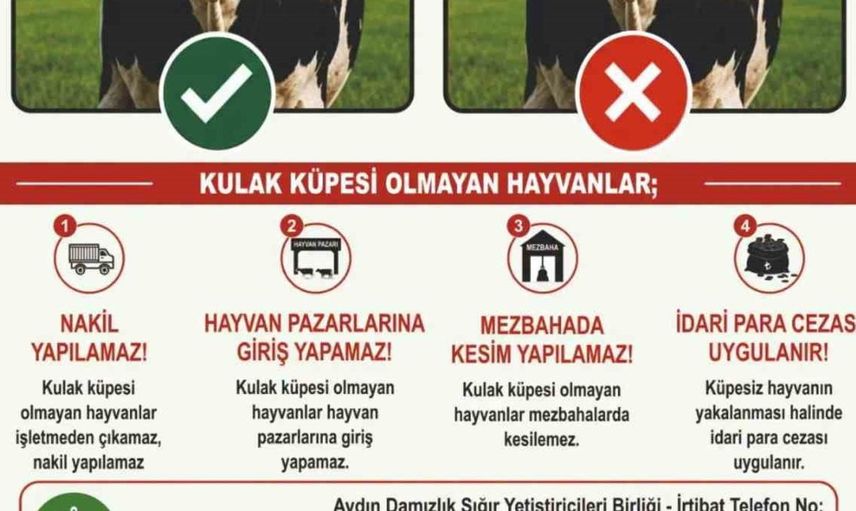 Aydın'da hayvan yetiştiricilerine kulak küpesi uyarısı