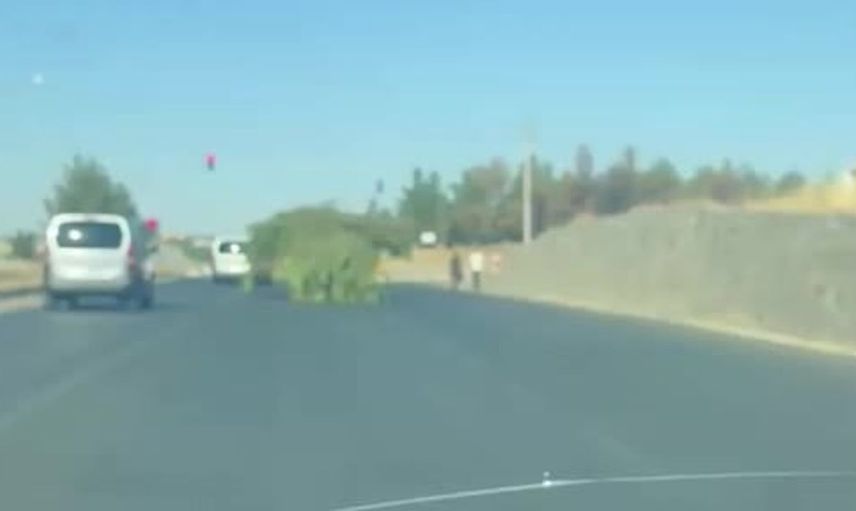 Diyarbakır'da traktörle taşınan dev ağaç yığını dikkat çekti