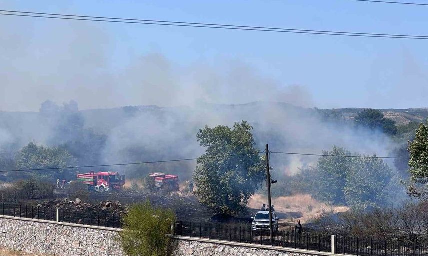 Ayvacık'ta otluk alanda çıkan yangın kontrol altına alındı