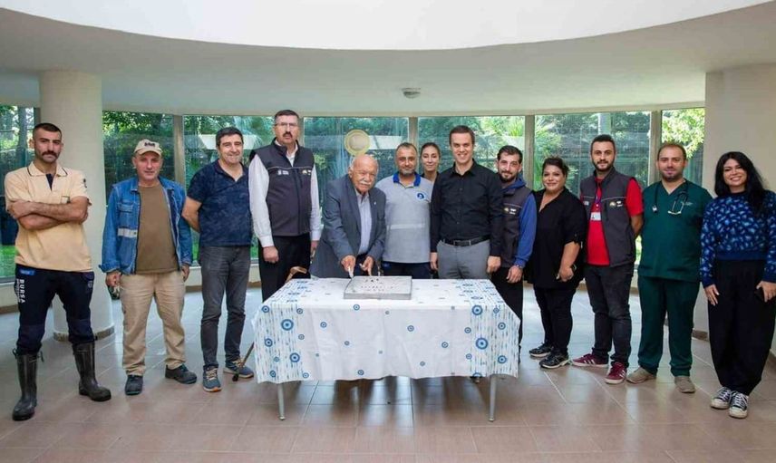 Bursa hayvanat bahçesinde yeni kaplan sevinci: Virginia'nın 100. günü kutlandı