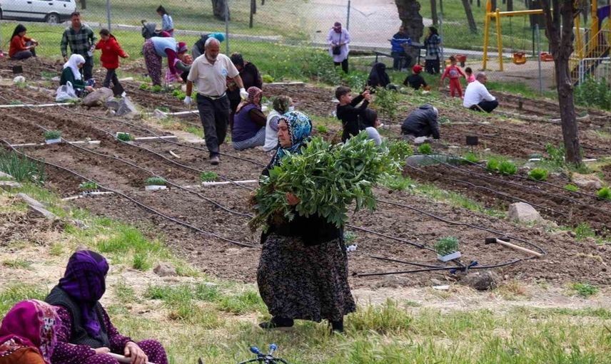 Kadınların toprakla buluştuğu projede yaz hasadı coşkusu yaşanıyor