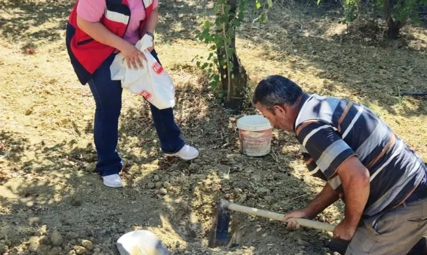 Pazarlar'da tarımsal verimlilik için bilinçli gübreleme çalışmaları