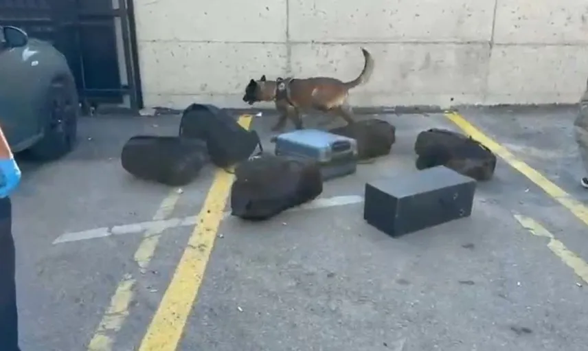 Narkotik köpeği operasyonla valizden 21 bin sentetik ecza çıkardı