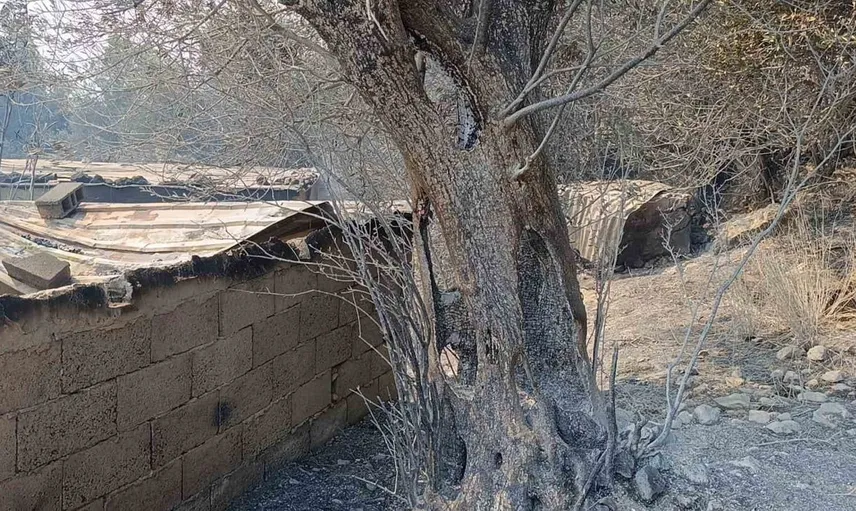 Yangın gecesi korku dolu anlar: Ev ve hayvanlarımız için savaştık