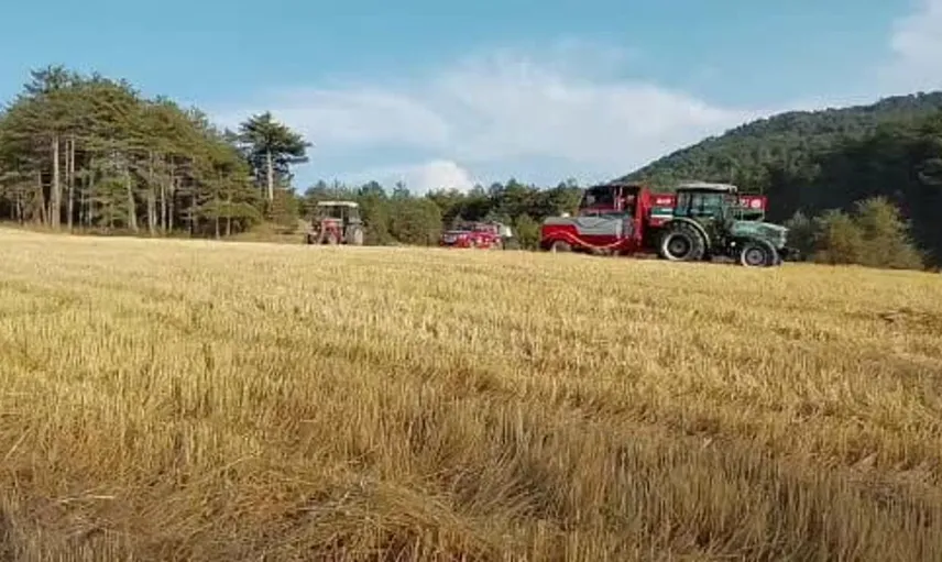 Bolu'da anız yangını köylülerin müdahalesiyle kontrol altına alındı
