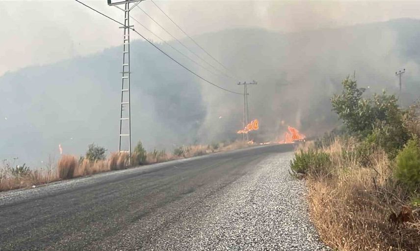 Alanya’daki yangına 95 araç ve 320 personel ile müdahale ediliyor