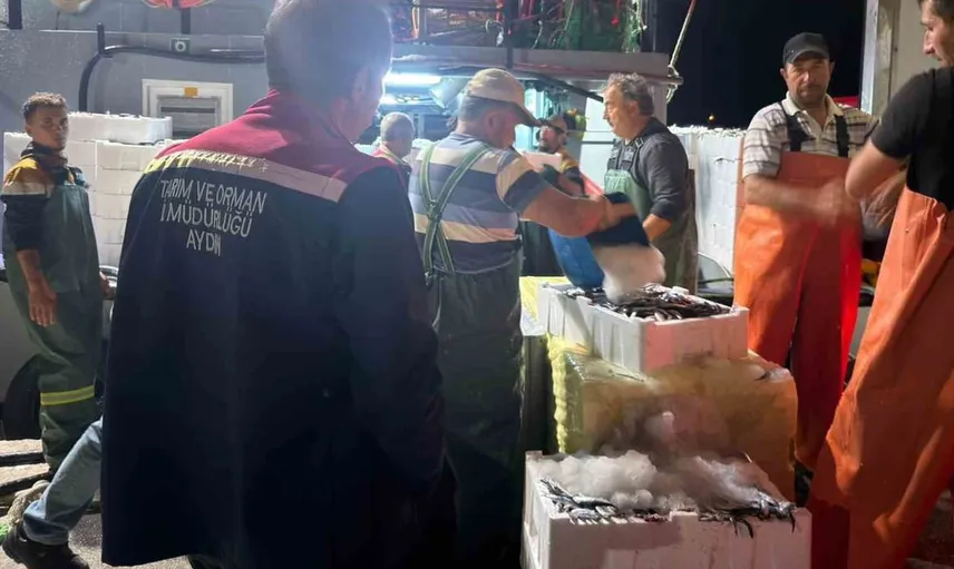 Didim’de hamsi kotası denetimleri sürdürüldü
