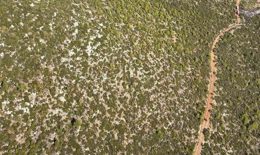 Bodrum'daki yangın bir an önce kontrol altına alındı