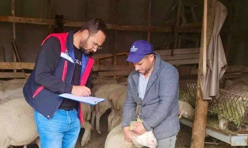 Afyonkarahisar'da sürdürülebilir koyun projesi denetimleri devam ediyor