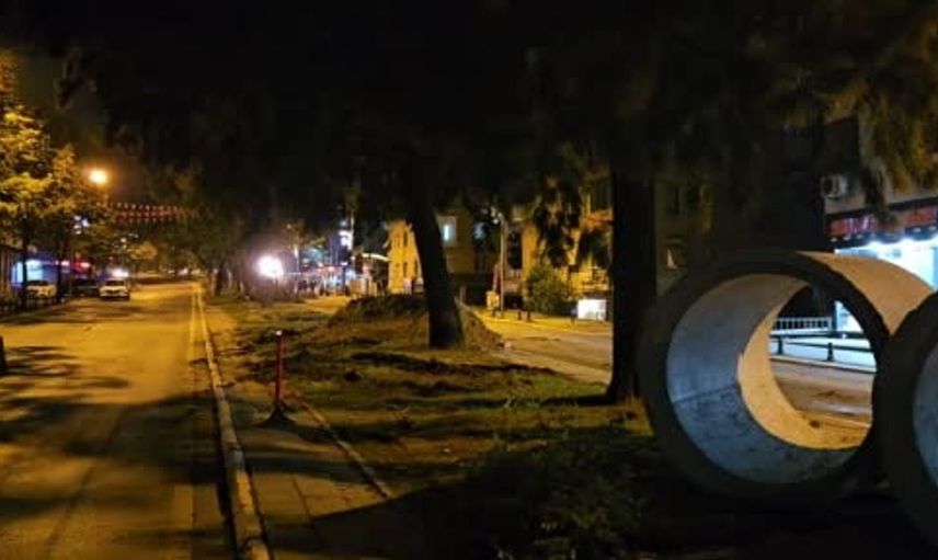 Asırlık ağaçların kesilmesiyle ilgili iddialar Eyüpsultan'da tartışma yarattı