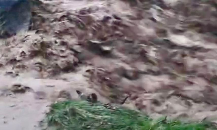 Hekimhan'da sağanak yağış sonrası taşkınlar yaşandı